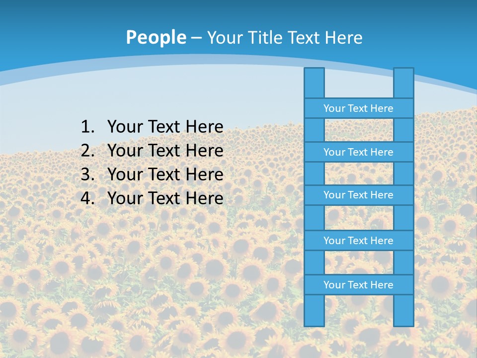 A Field Of Sunflowers, In The South Of France. PowerPoint Template