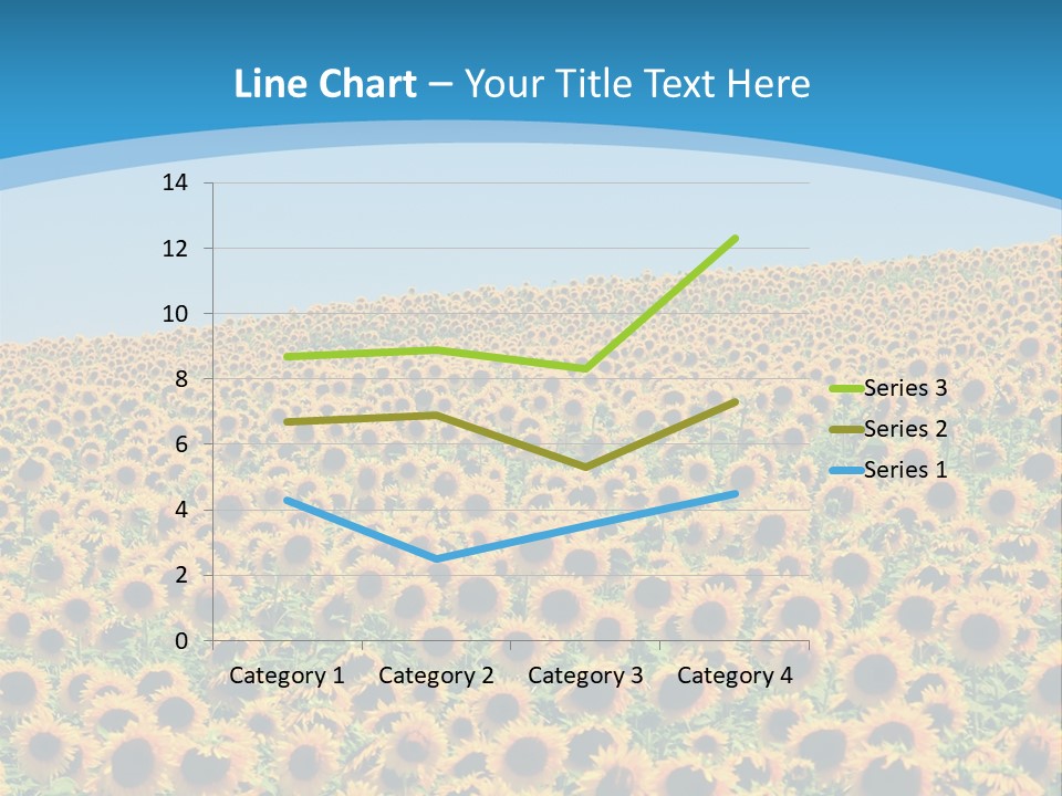 A Field Of Sunflowers, In The South Of France. PowerPoint Template