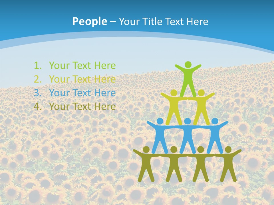 A Field Of Sunflowers, In The South Of France. PowerPoint Template