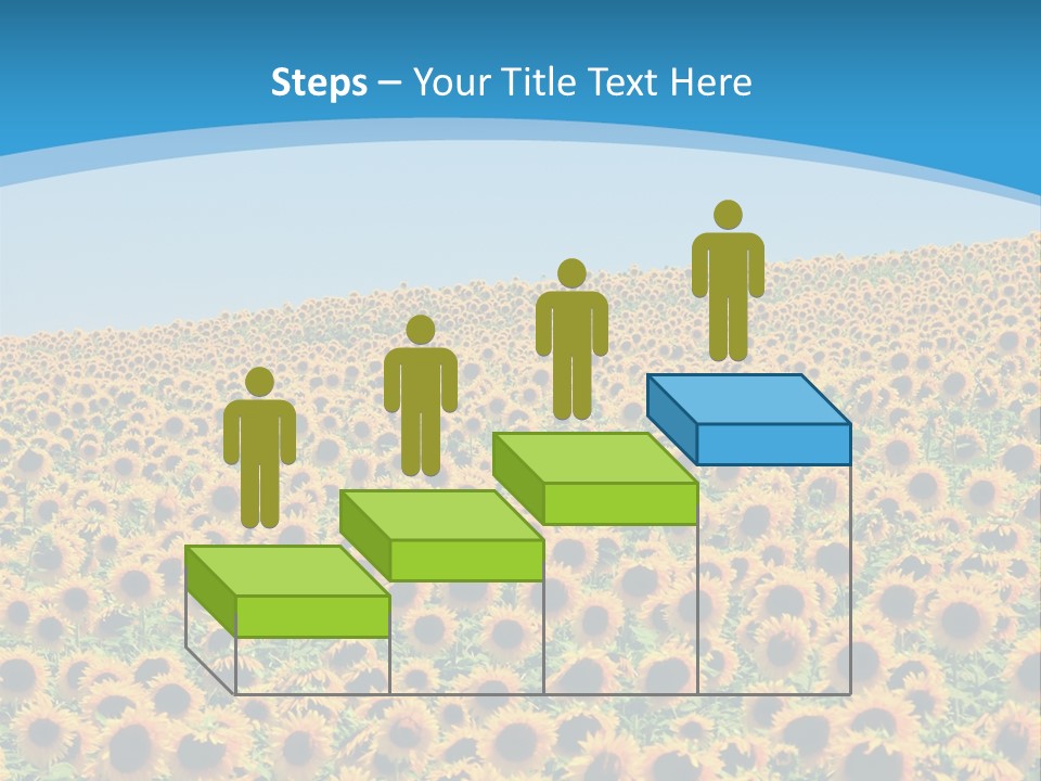 A Field Of Sunflowers, In The South Of France. PowerPoint Template