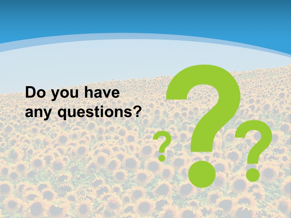 A Field Of Sunflowers, In The South Of France. PowerPoint Template