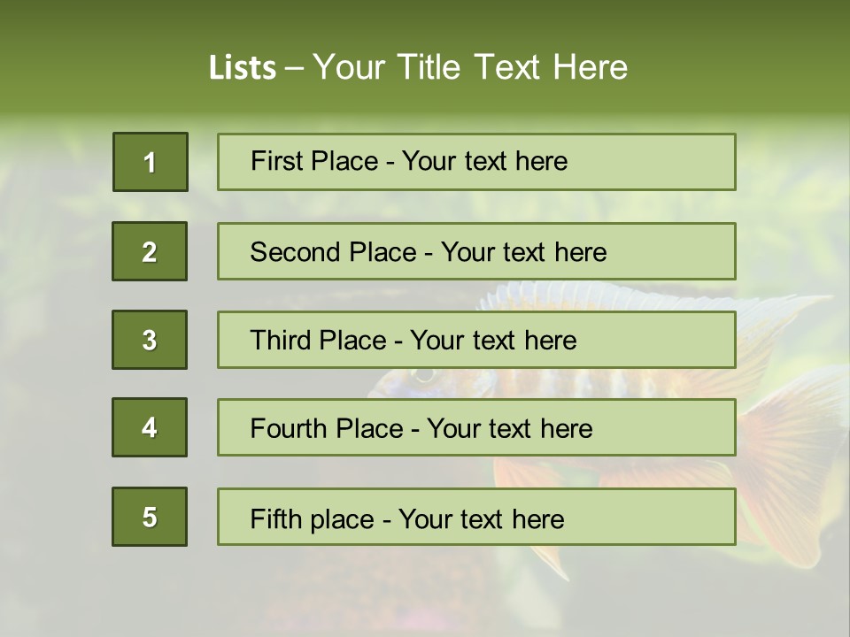 Beautiful African Cichlid (Red Peacock) Swimming In The Aquarium. Lots Of Bright Orange. PowerPoint Template
