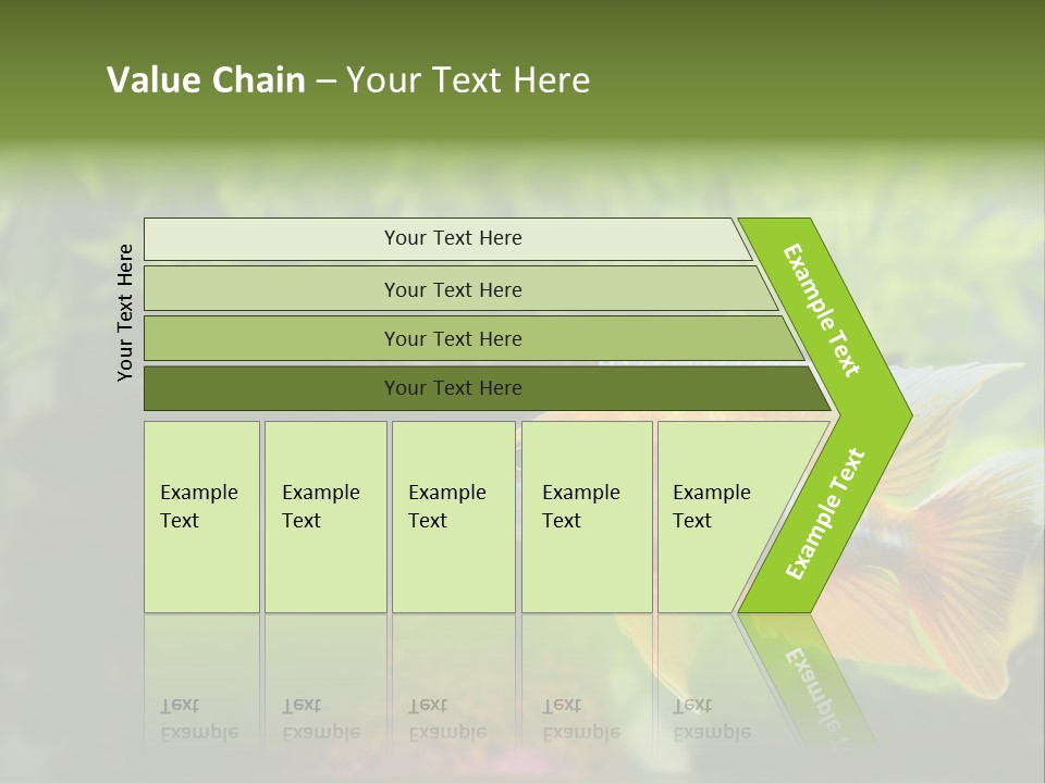 Beautiful African Cichlid (Red Peacock) Swimming In The Aquarium. Lots Of Bright Orange. PowerPoint Template