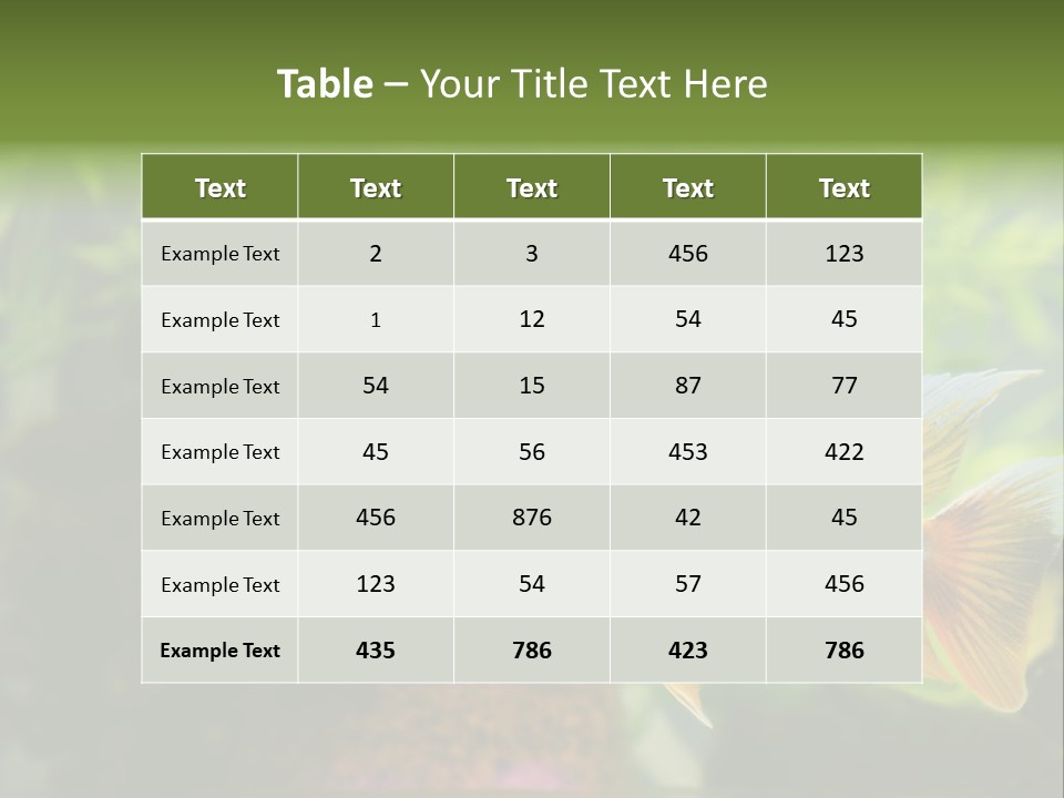 Beautiful African Cichlid (Red Peacock) Swimming In The Aquarium. Lots Of Bright Orange. PowerPoint Template