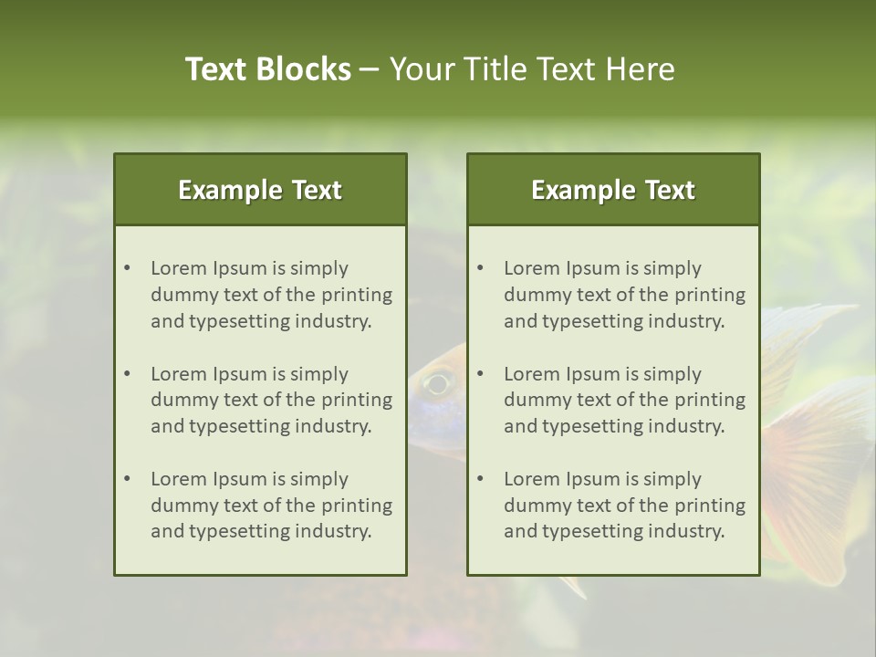 Beautiful African Cichlid (Red Peacock) Swimming In The Aquarium. Lots Of Bright Orange. PowerPoint Template