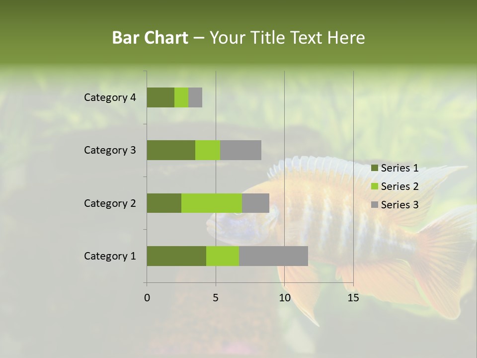 Beautiful African Cichlid (Red Peacock) Swimming In The Aquarium. Lots Of Bright Orange. PowerPoint Template