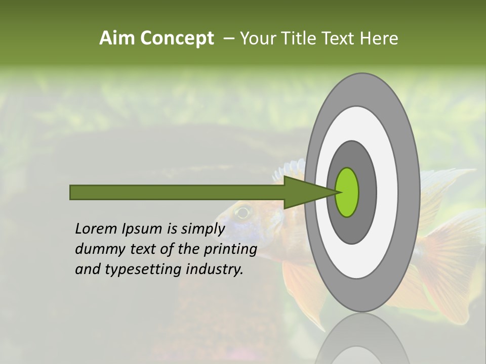 Beautiful African Cichlid (Red Peacock) Swimming In The Aquarium. Lots Of Bright Orange. PowerPoint Template