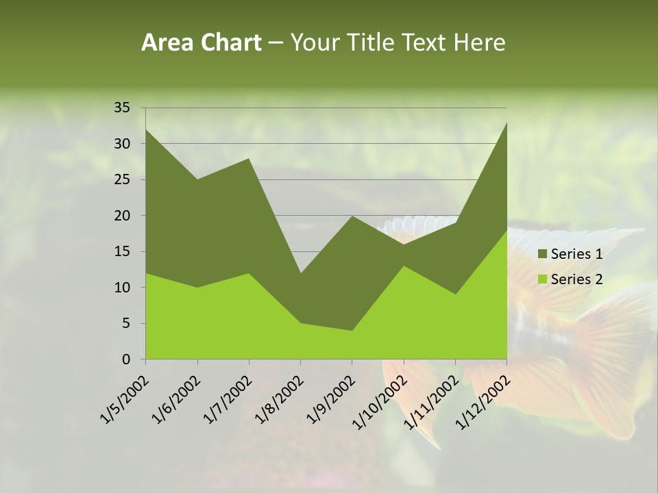 Beautiful African Cichlid (Red Peacock) Swimming In The Aquarium. Lots Of Bright Orange. PowerPoint Template