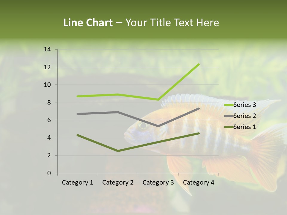 Beautiful African Cichlid (Red Peacock) Swimming In The Aquarium. Lots Of Bright Orange. PowerPoint Template