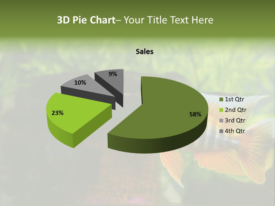 Beautiful African Cichlid (Red Peacock) Swimming In The Aquarium. Lots Of Bright Orange. PowerPoint Template