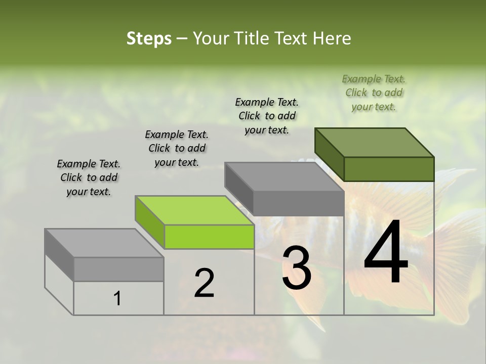 Beautiful African Cichlid (Red Peacock) Swimming In The Aquarium. Lots Of Bright Orange. PowerPoint Template