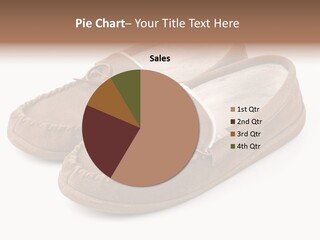 Moccasins On White PowerPoint Template