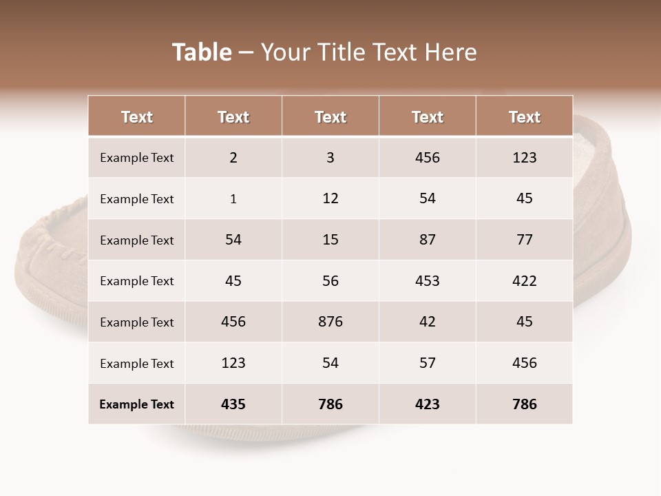 Moccasins On White PowerPoint Template