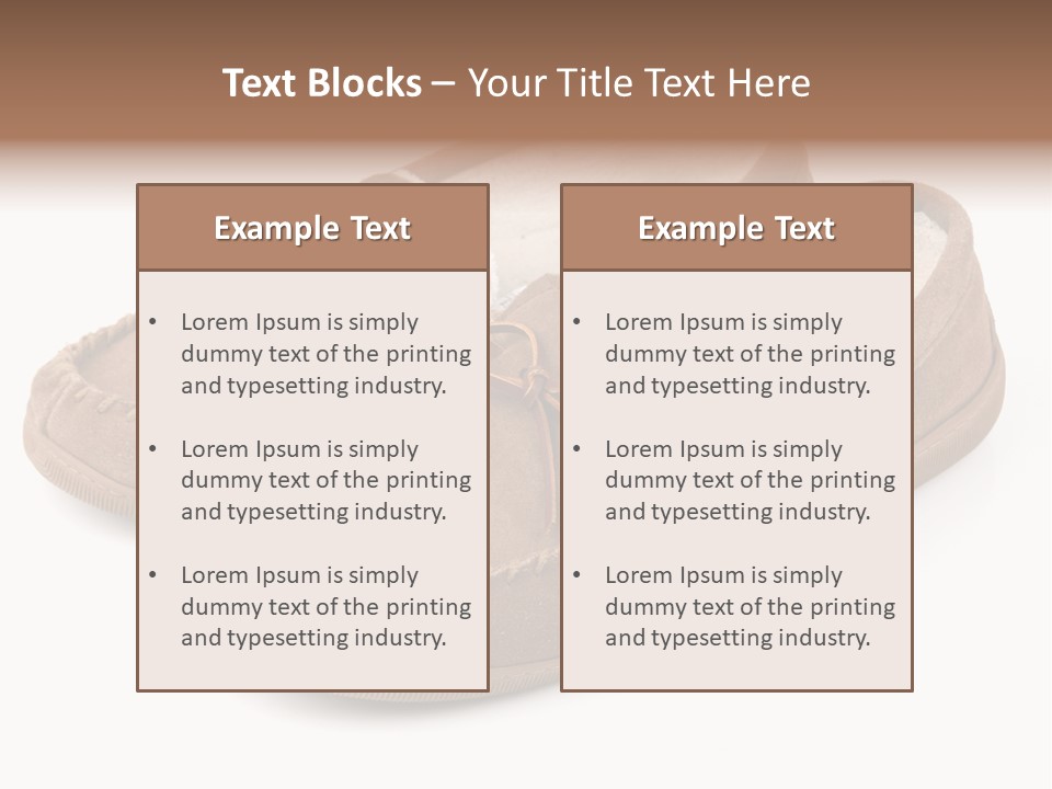 Moccasins On White PowerPoint Template