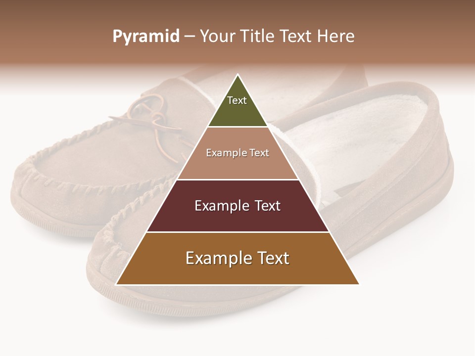Moccasins On White PowerPoint Template