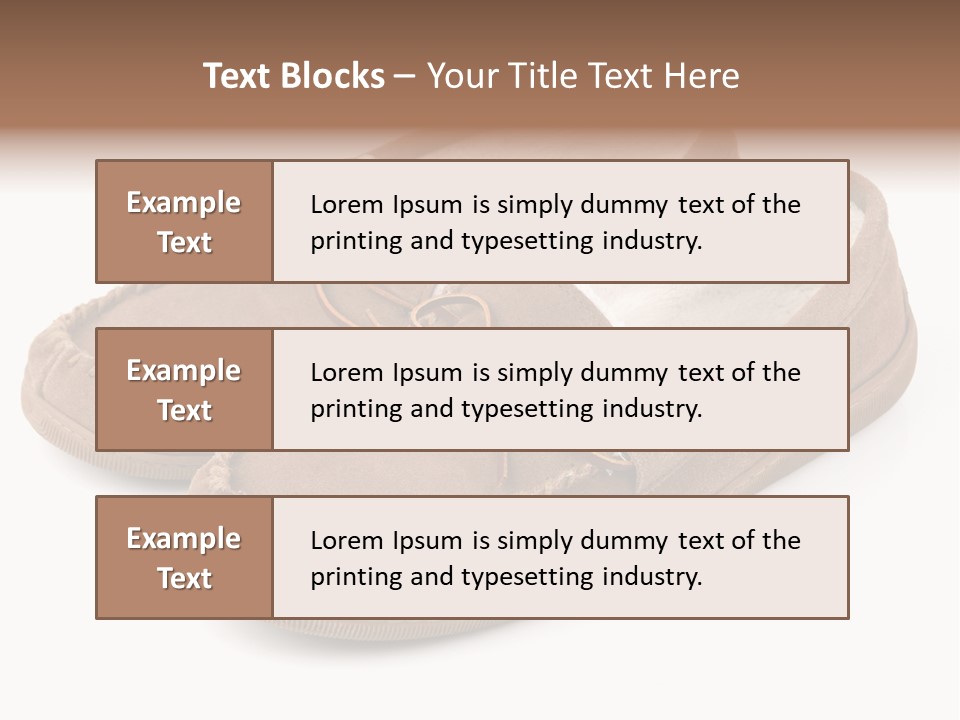 Moccasins On White PowerPoint Template