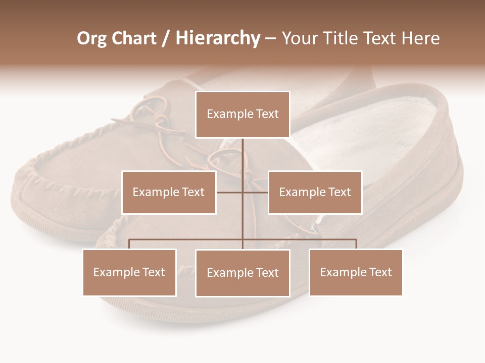 Moccasins On White PowerPoint Template