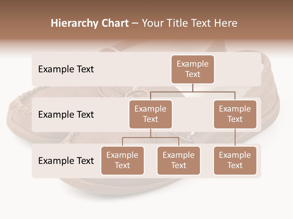 Moccasins On White PowerPoint Template