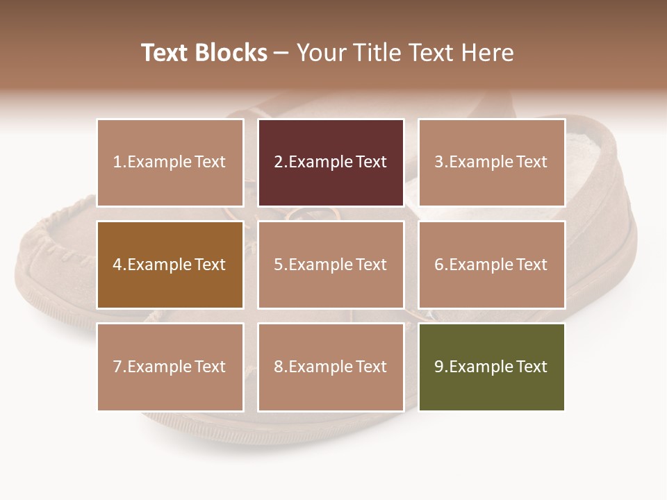 Moccasins On White PowerPoint Template