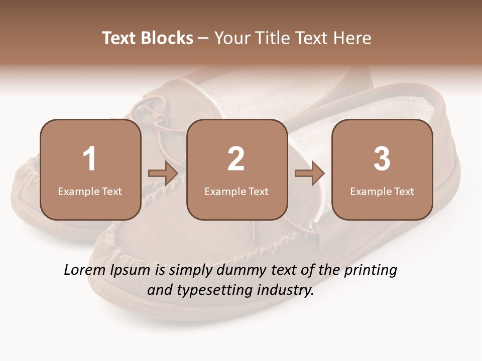 Moccasins On White PowerPoint Template