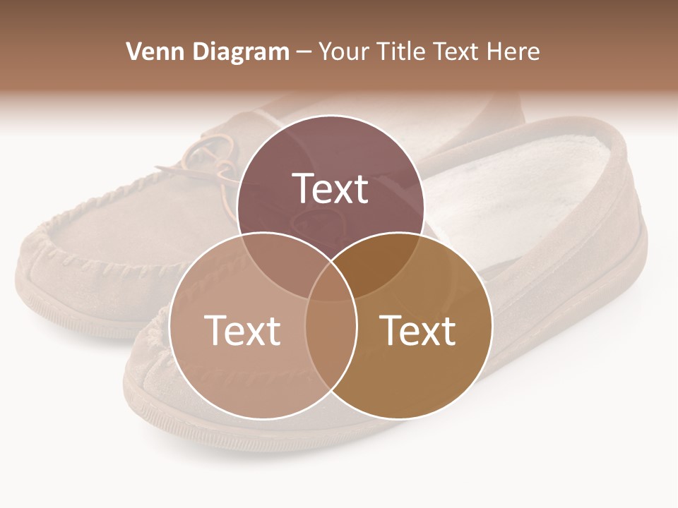 Moccasins On White PowerPoint Template