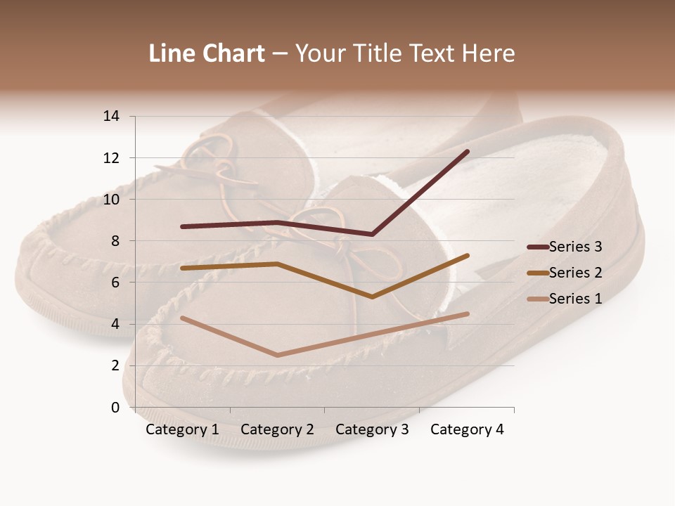 Moccasins On White PowerPoint Template