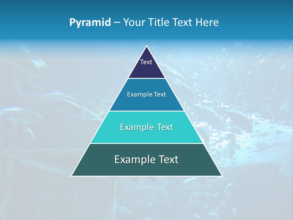 Aquarium PowerPoint Template