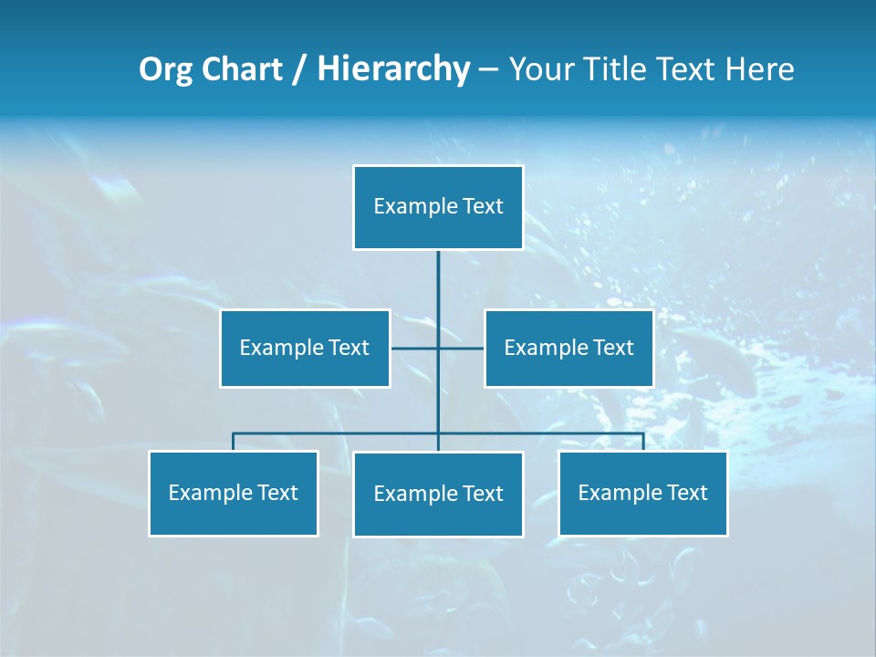 Aquarium PowerPoint Template