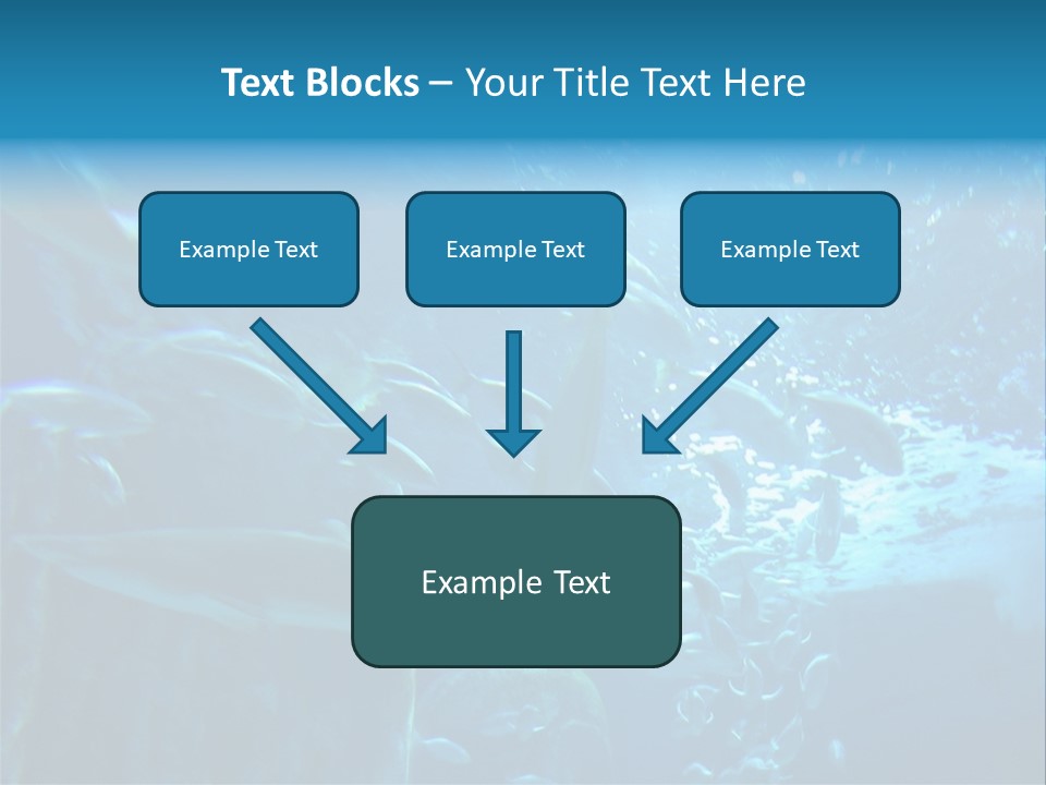 Aquarium PowerPoint Template