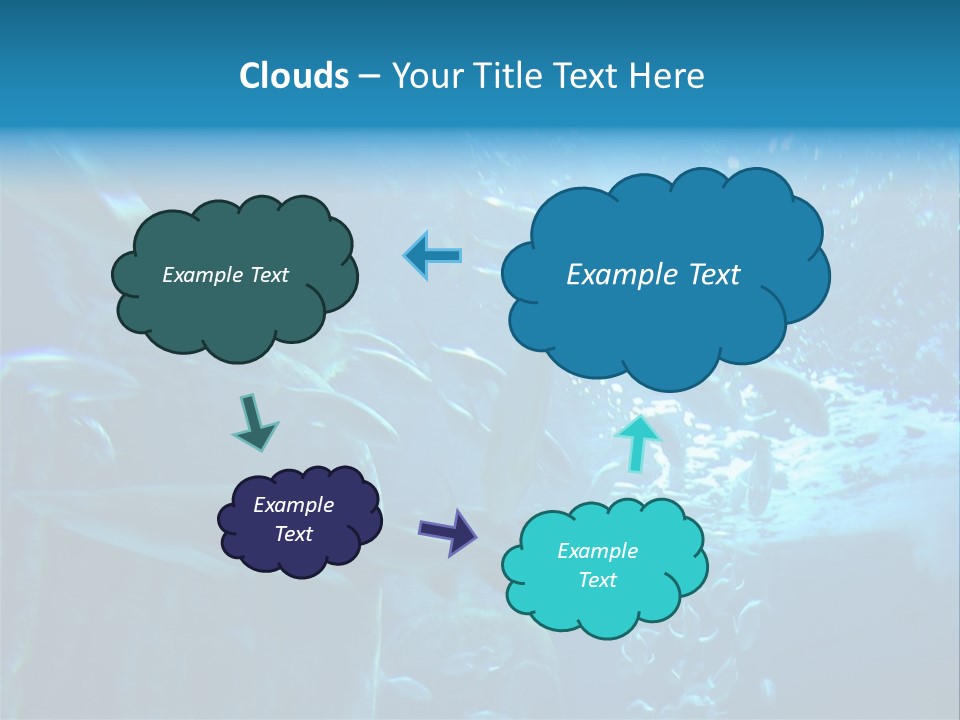 Aquarium PowerPoint Template