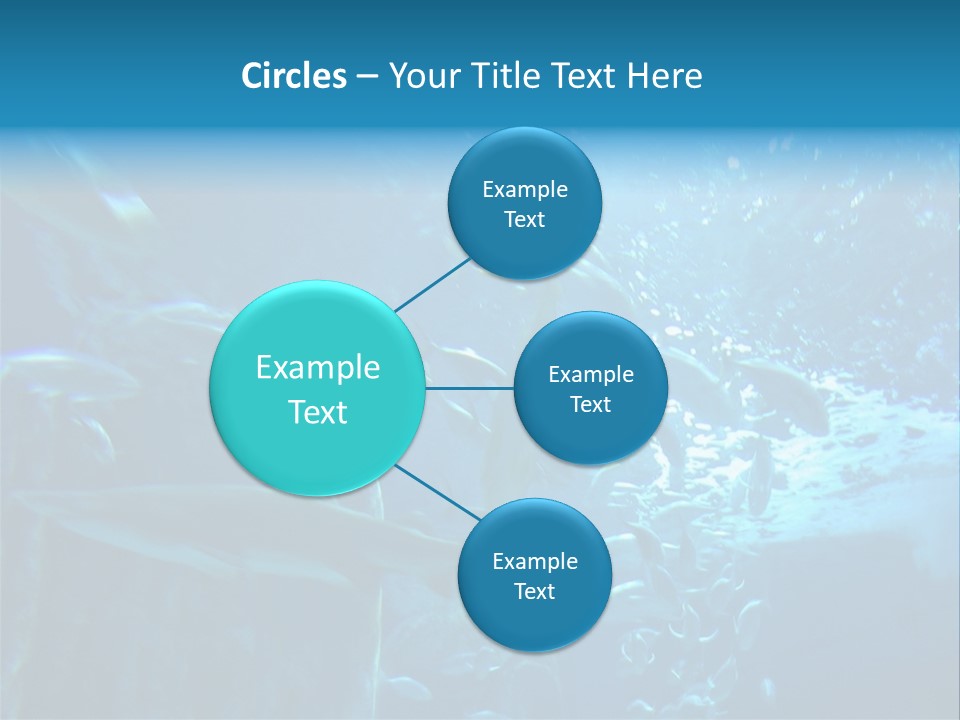 Aquarium PowerPoint Template