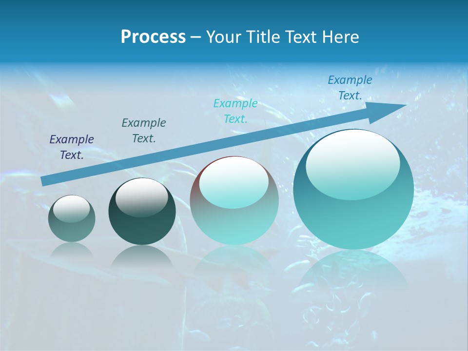 Aquarium PowerPoint Template