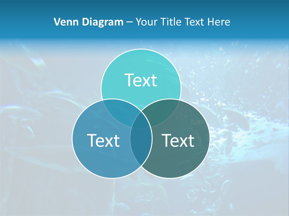 Aquarium PowerPoint Template