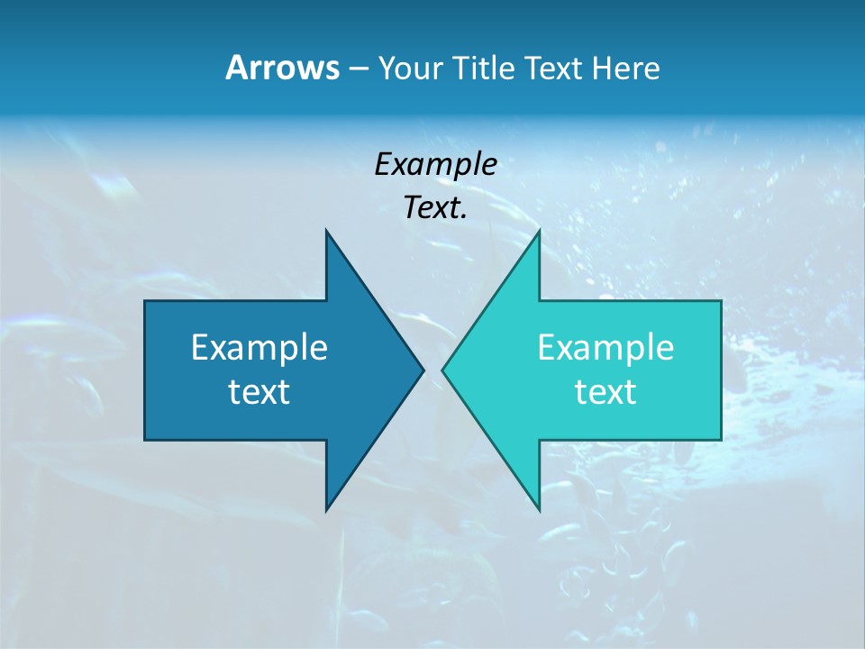 Aquarium PowerPoint Template