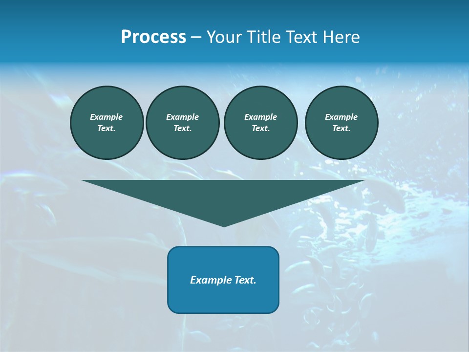 Aquarium PowerPoint Template