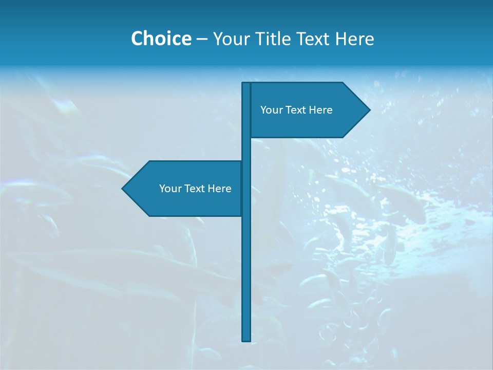 Aquarium PowerPoint Template