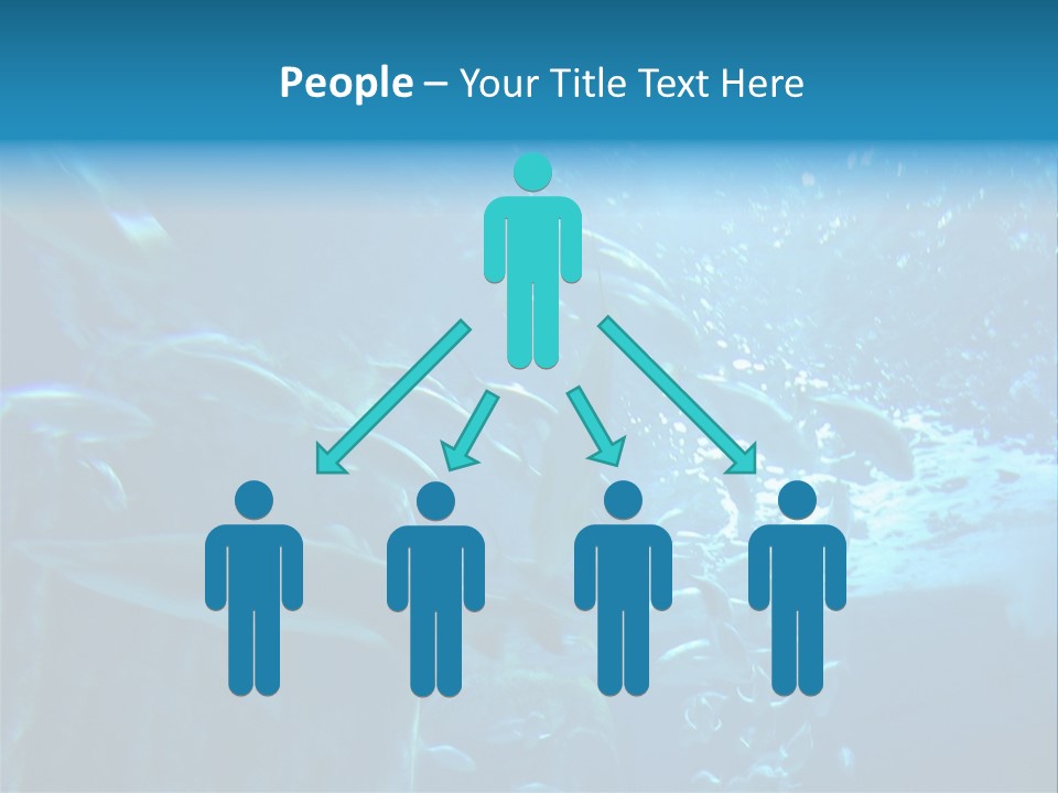 Aquarium PowerPoint Template