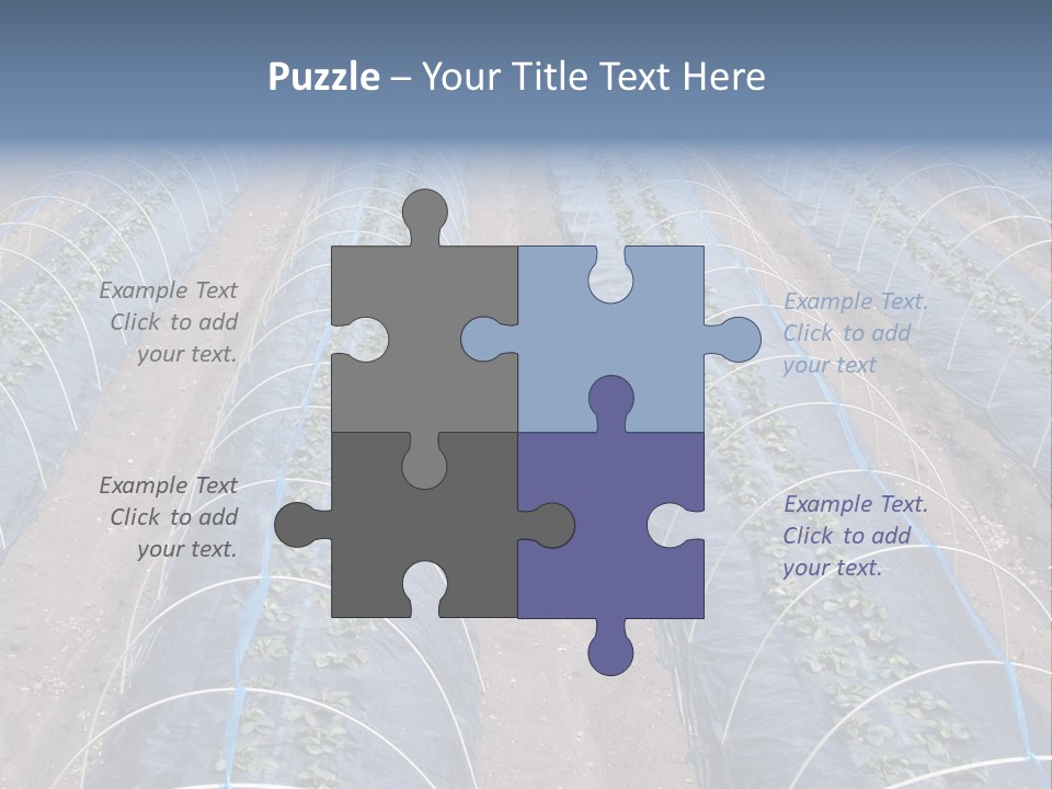 Perspective In A Strawberry Culture During Spring. PowerPoint Template