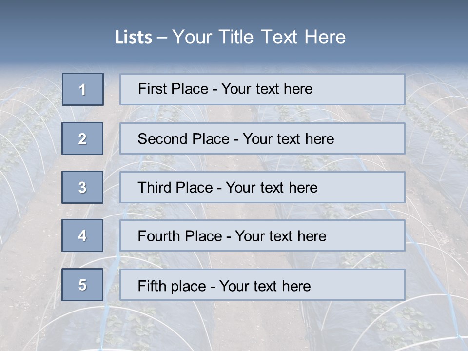 Perspective In A Strawberry Culture During Spring. PowerPoint Template