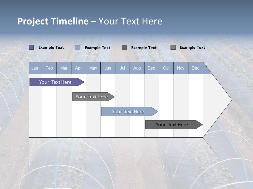 Perspective In A Strawberry Culture During Spring. PowerPoint Template