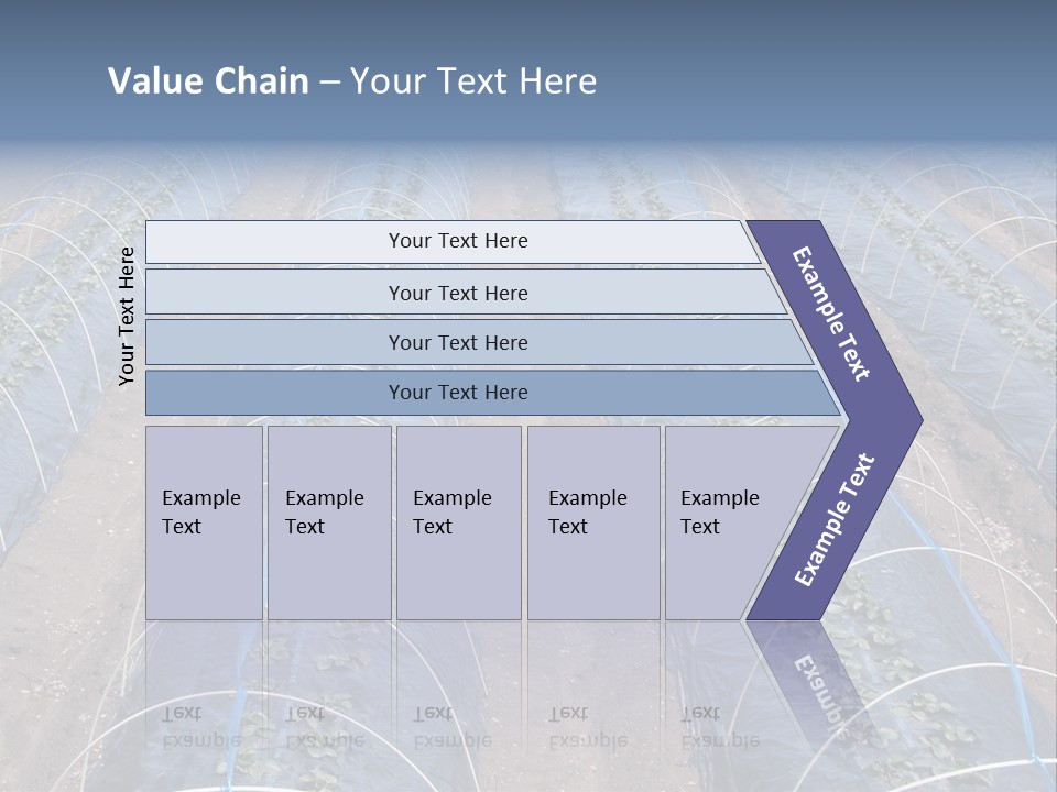 Perspective In A Strawberry Culture During Spring. PowerPoint Template