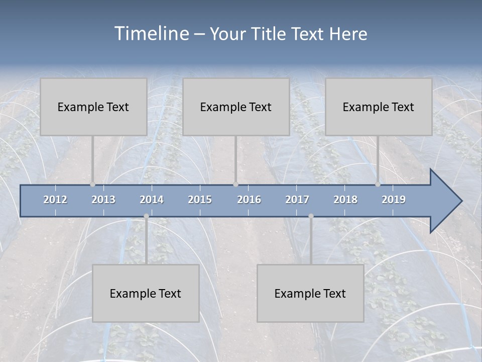 Perspective In A Strawberry Culture During Spring. PowerPoint Template