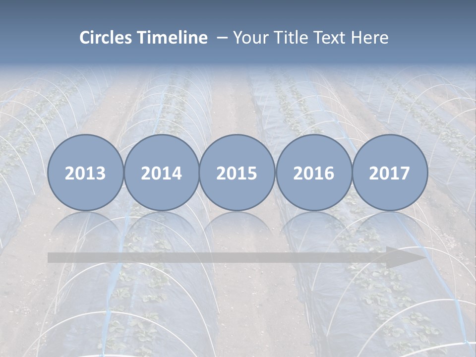 Perspective In A Strawberry Culture During Spring. PowerPoint Template