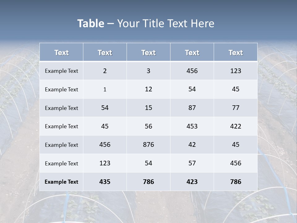 Perspective In A Strawberry Culture During Spring. PowerPoint Template
