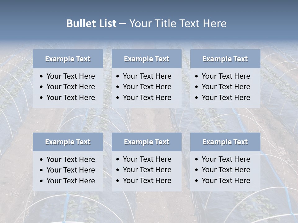 Perspective In A Strawberry Culture During Spring. PowerPoint Template
