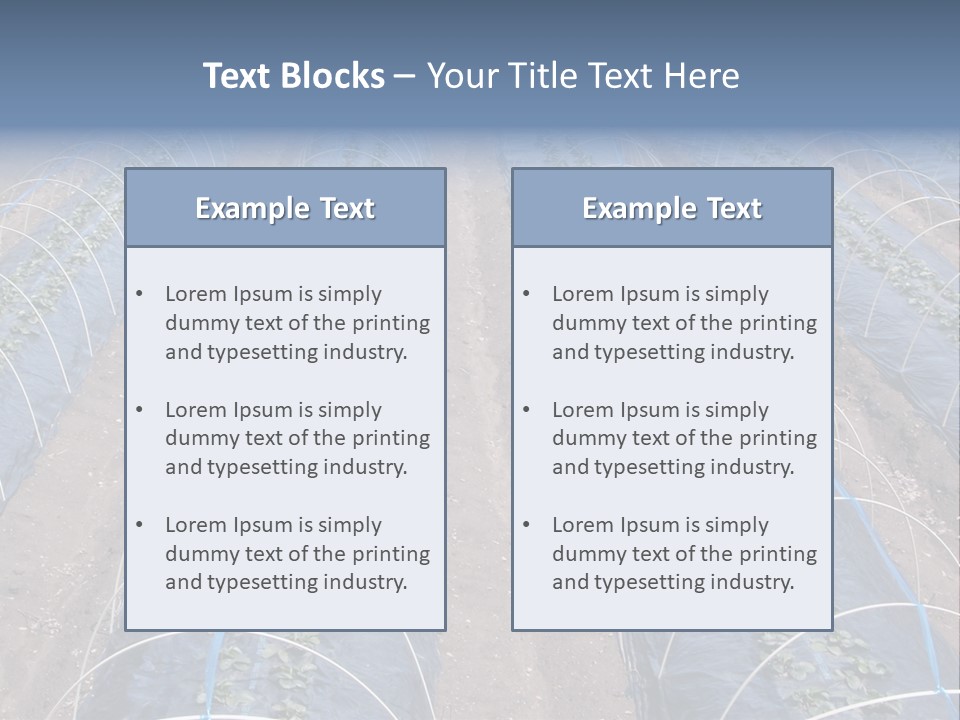 Perspective In A Strawberry Culture During Spring. PowerPoint Template