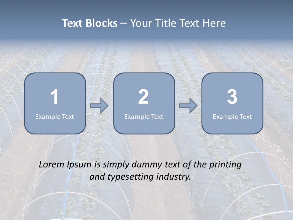Perspective In A Strawberry Culture During Spring. PowerPoint Template