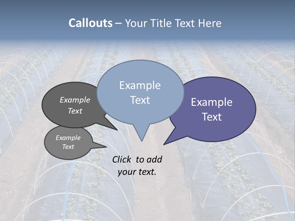 Perspective In A Strawberry Culture During Spring. PowerPoint Template