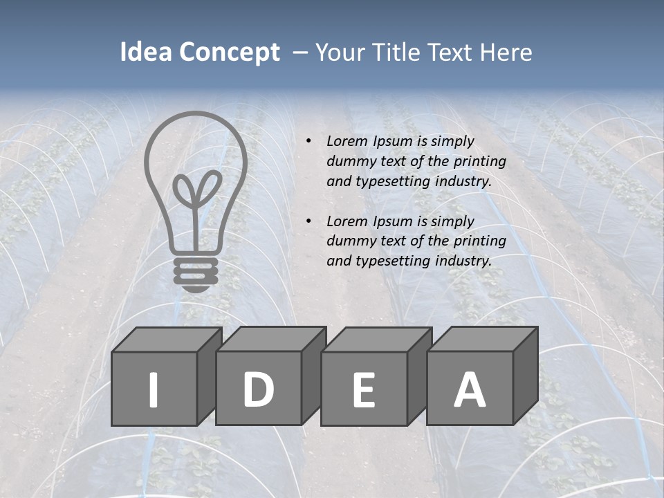 Perspective In A Strawberry Culture During Spring. PowerPoint Template
