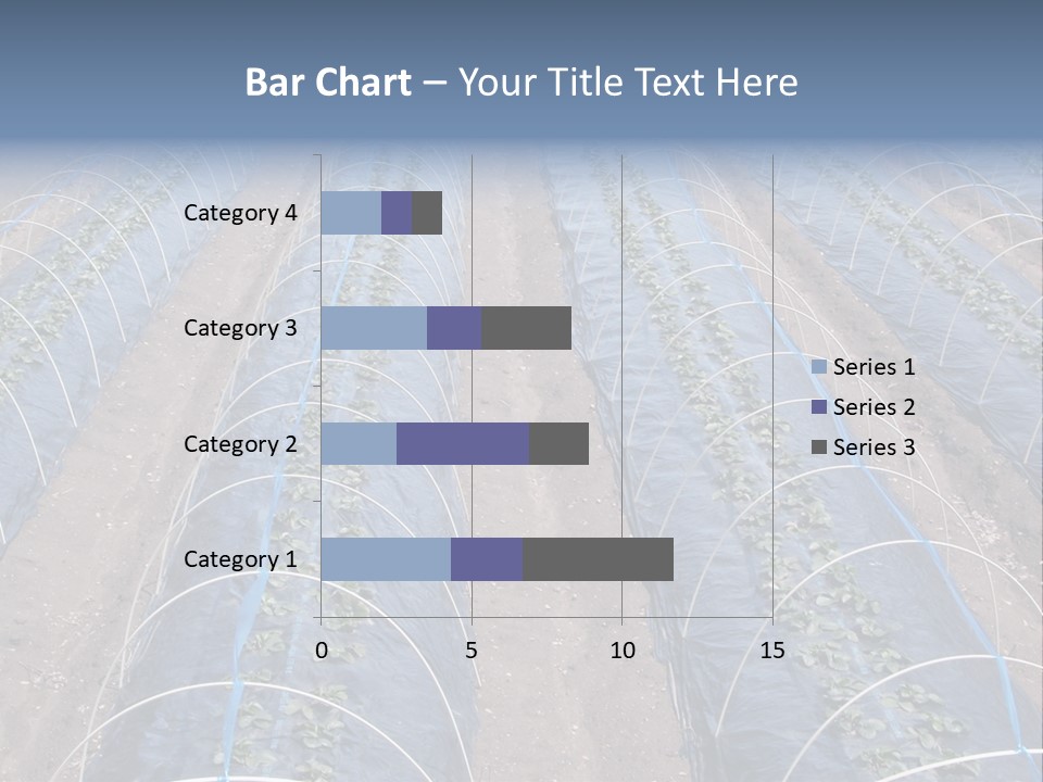 Perspective In A Strawberry Culture During Spring. PowerPoint Template